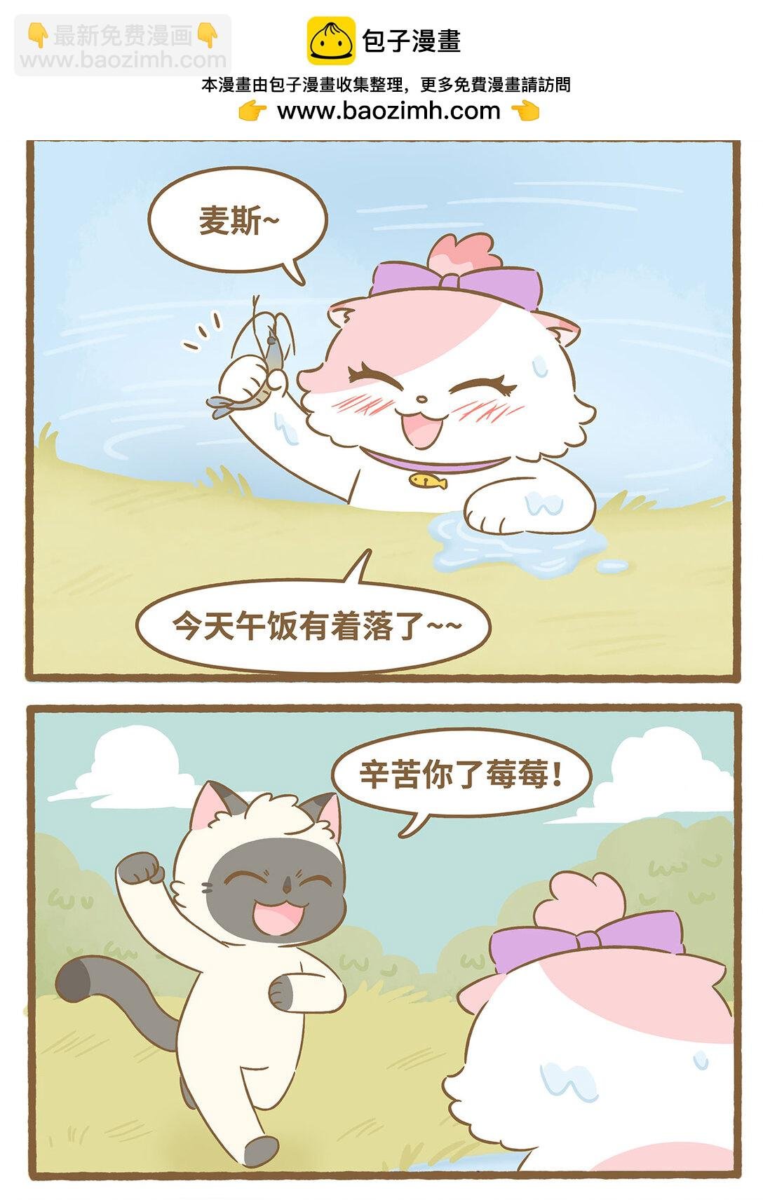90 第90话 刺伤手