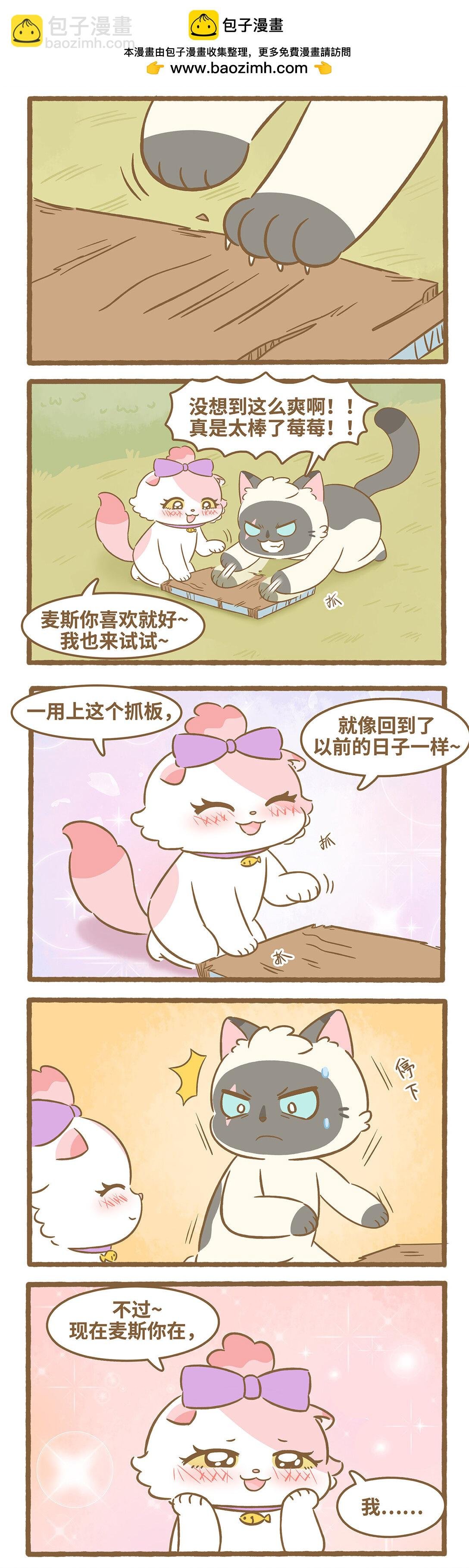 97 第97话 猫抓板