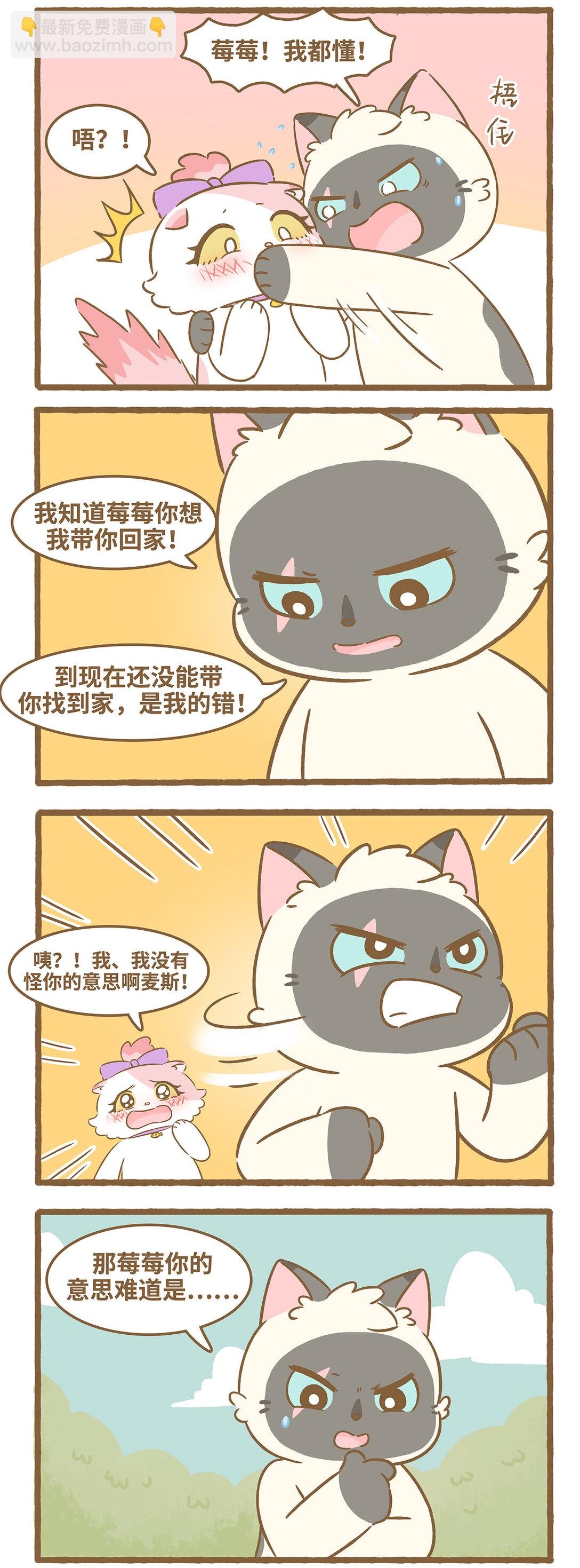97 第97话 猫抓板