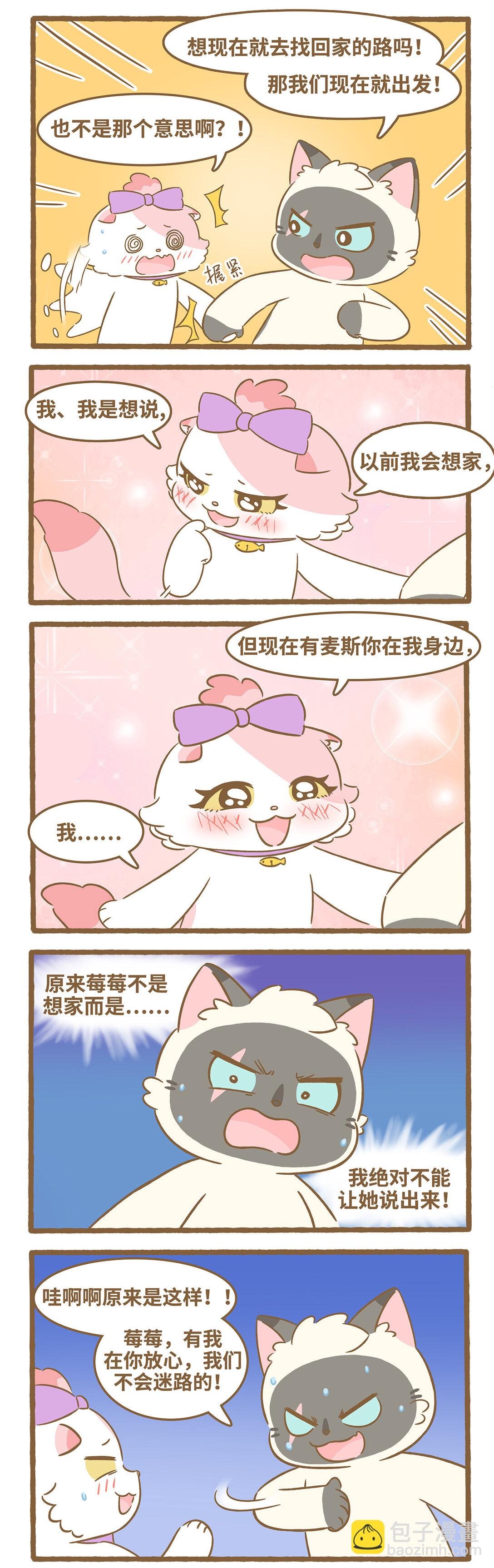 97 第97话 猫抓板