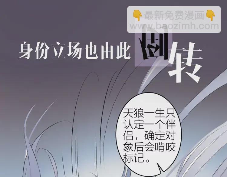 新作《将军，小心恶犬！》