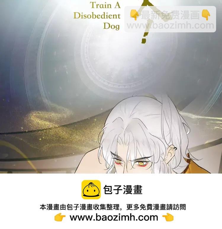 新作《将军，小心恶犬！》