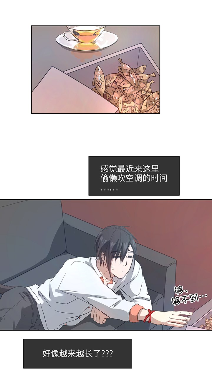 100 茶水和鱼干