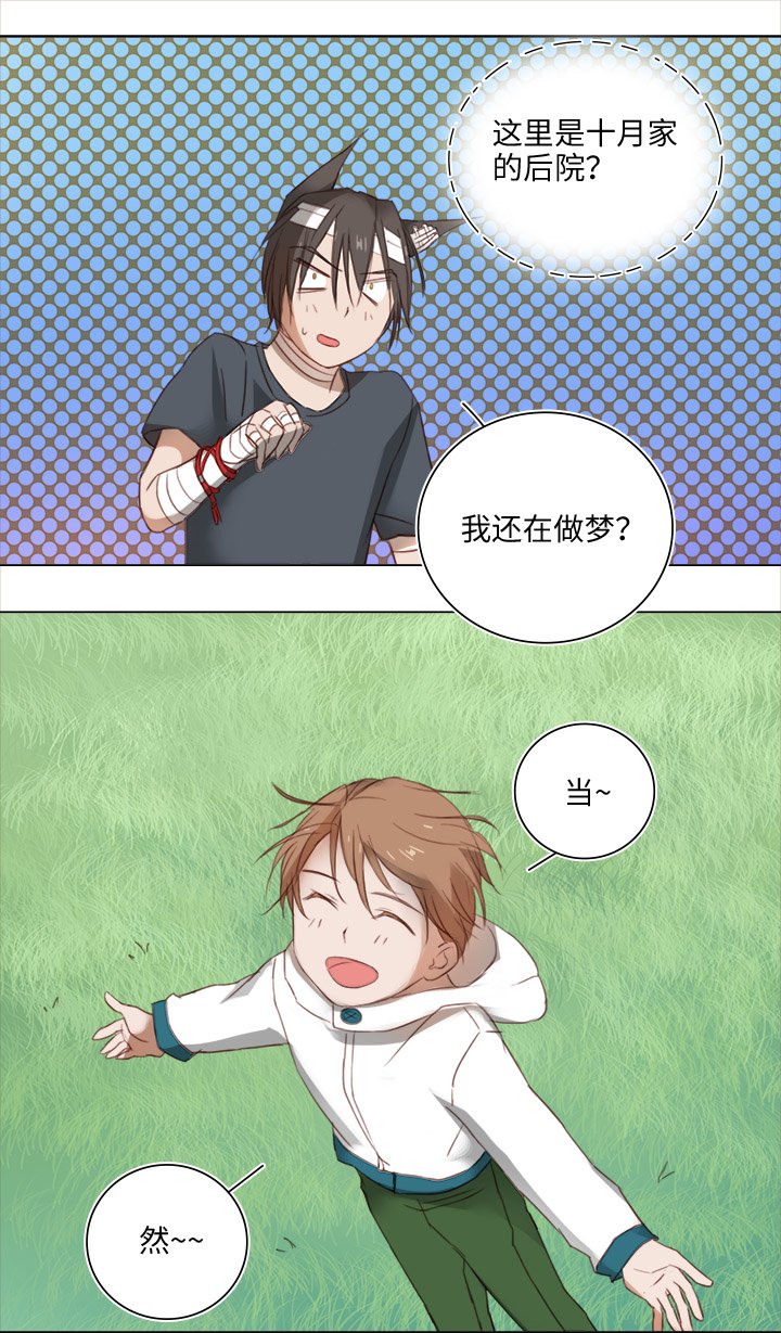 19 梦与回忆