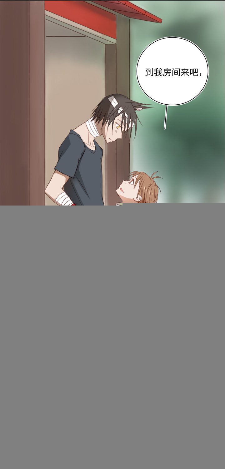19 梦与回忆