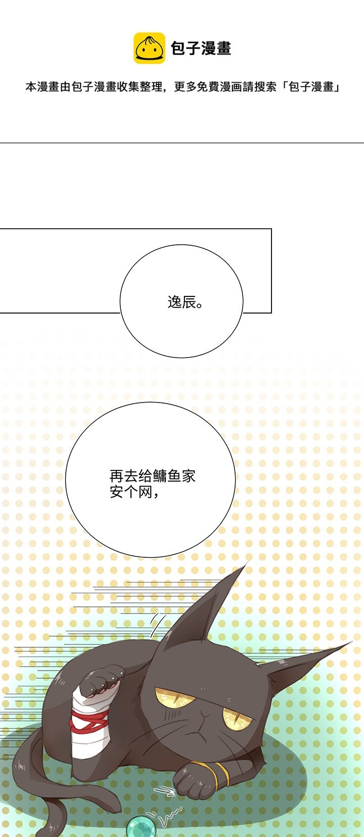 26 加油啦 族长