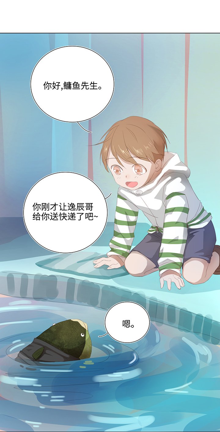 26 加油啦 族长