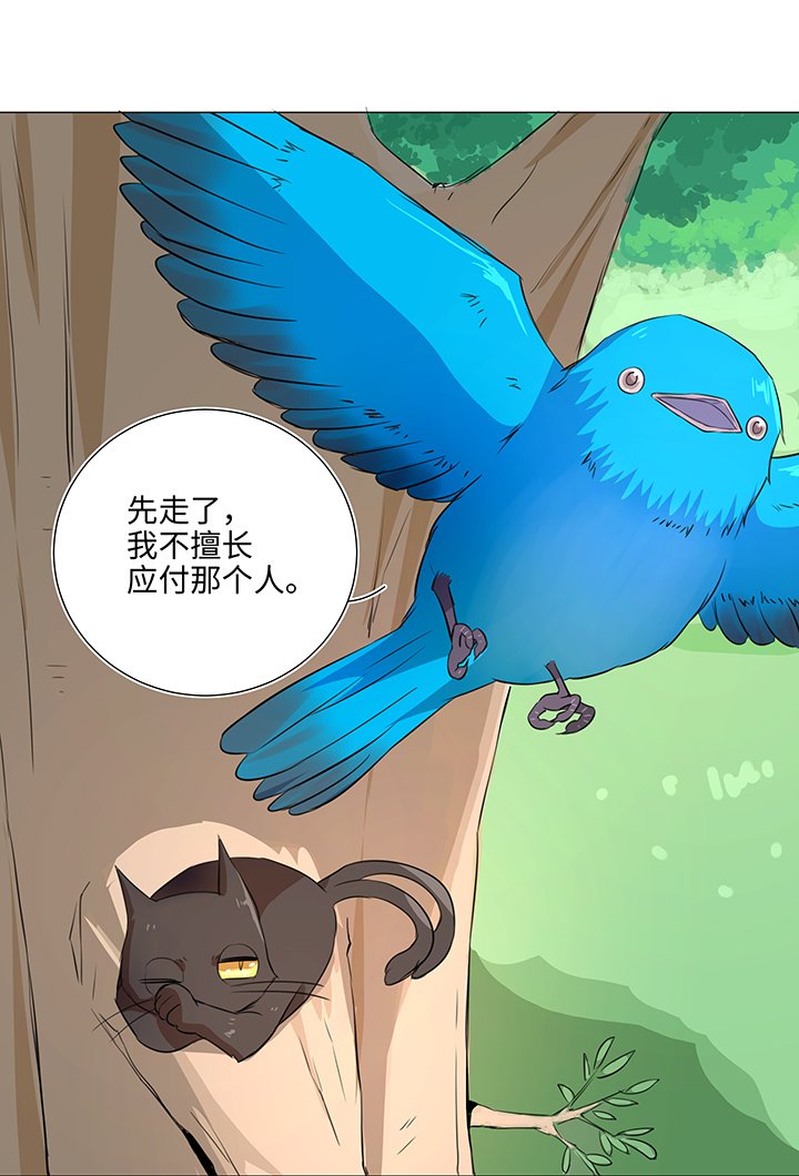 31 过去