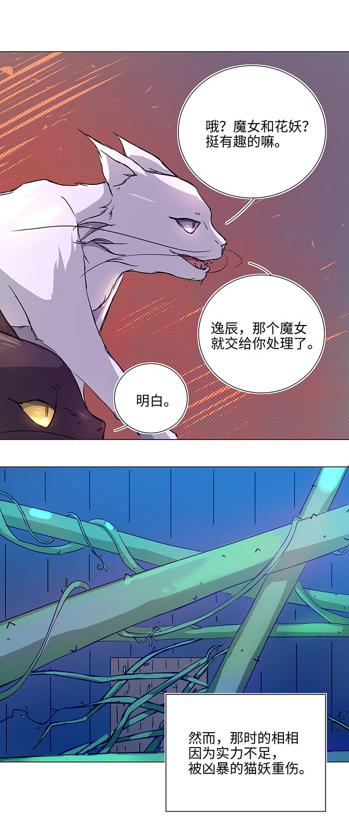 41 六十年前