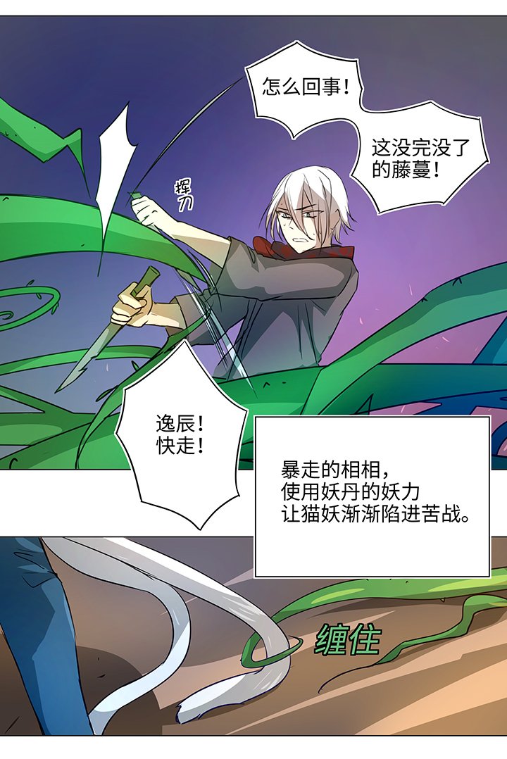 41 六十年前