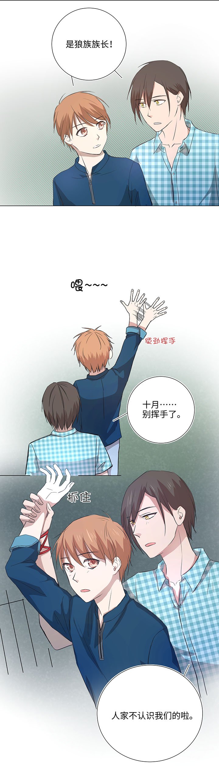 44 族长的委托
