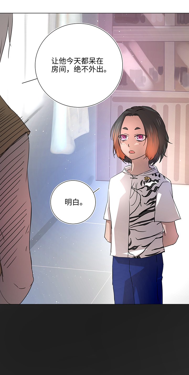 51 伪装