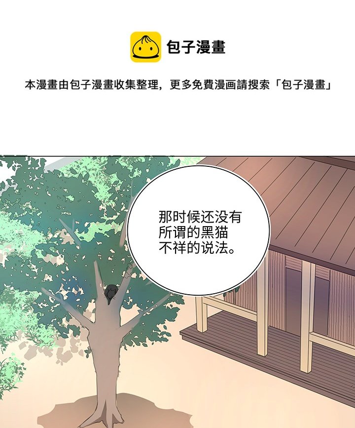 56 黑猫传说.一