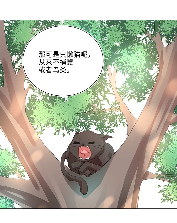 56 黑猫传说.一