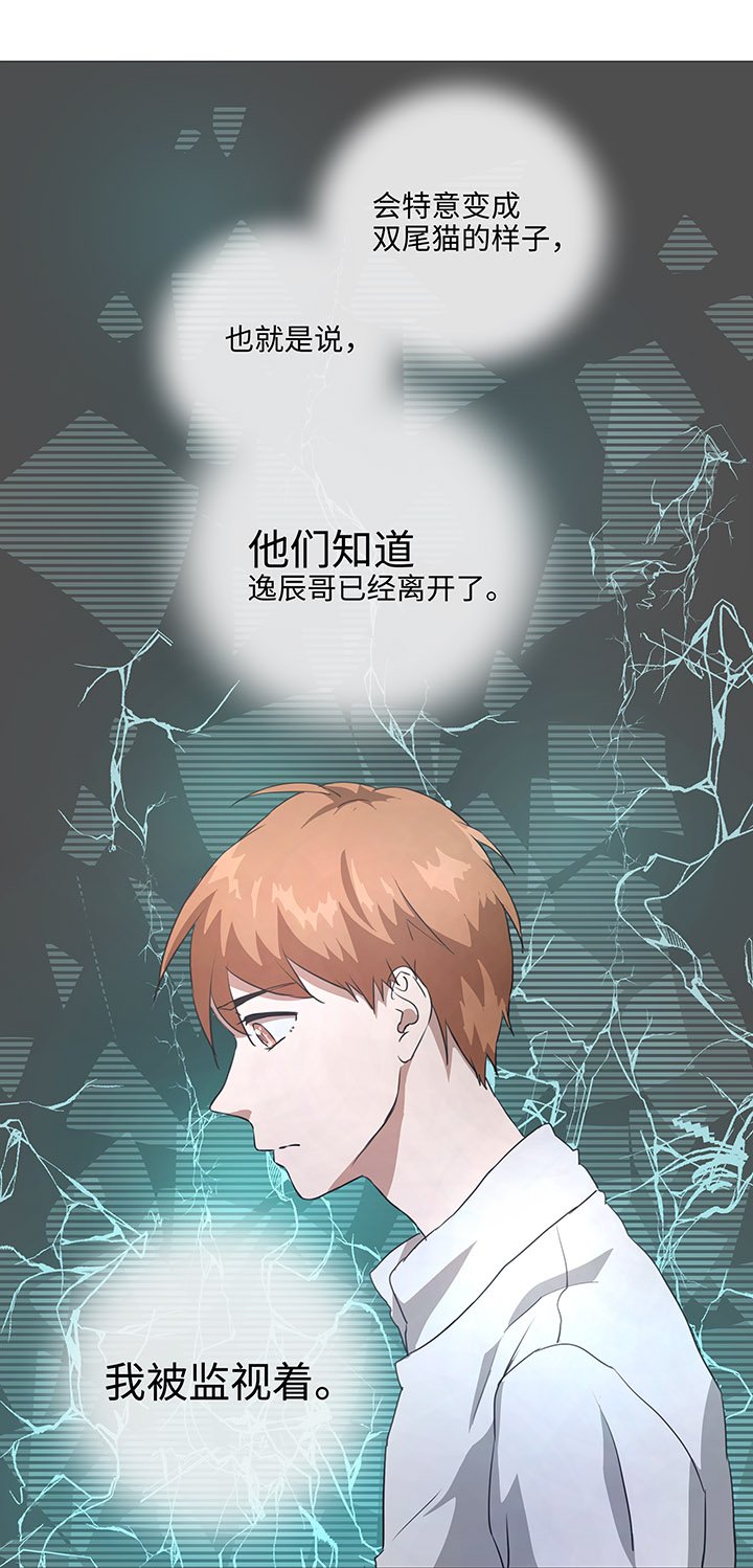 78 告诉我吧