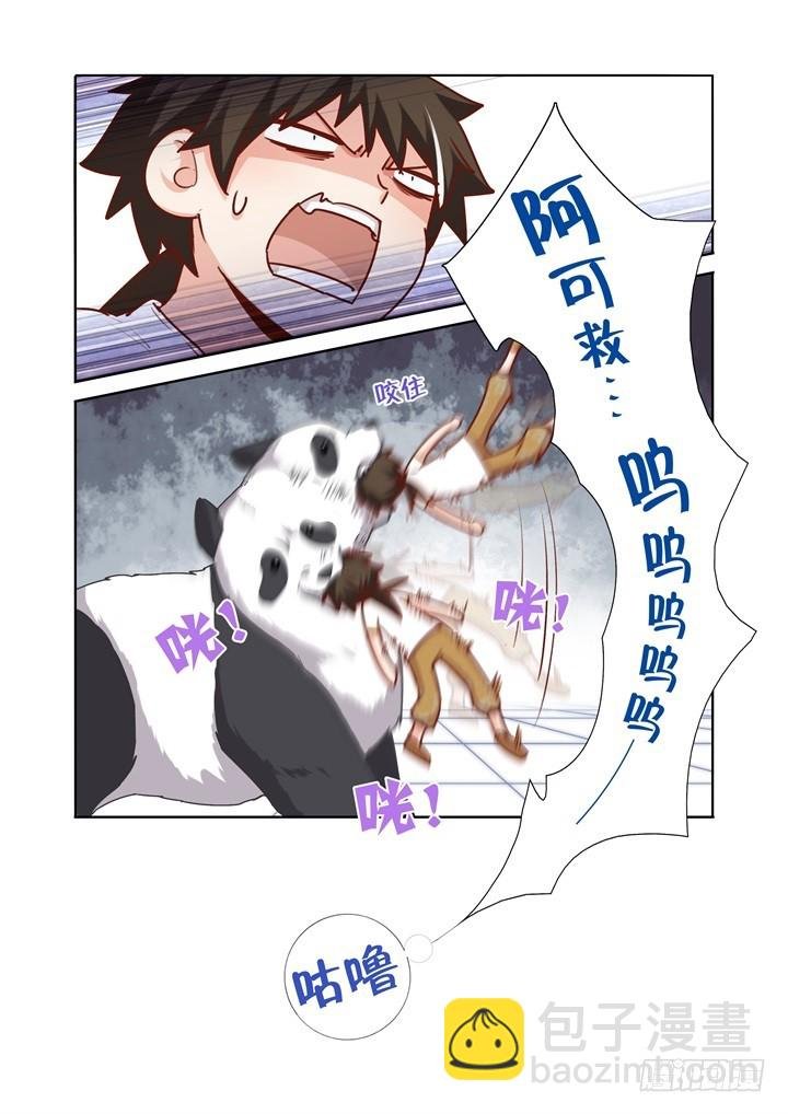 88.大熊猫