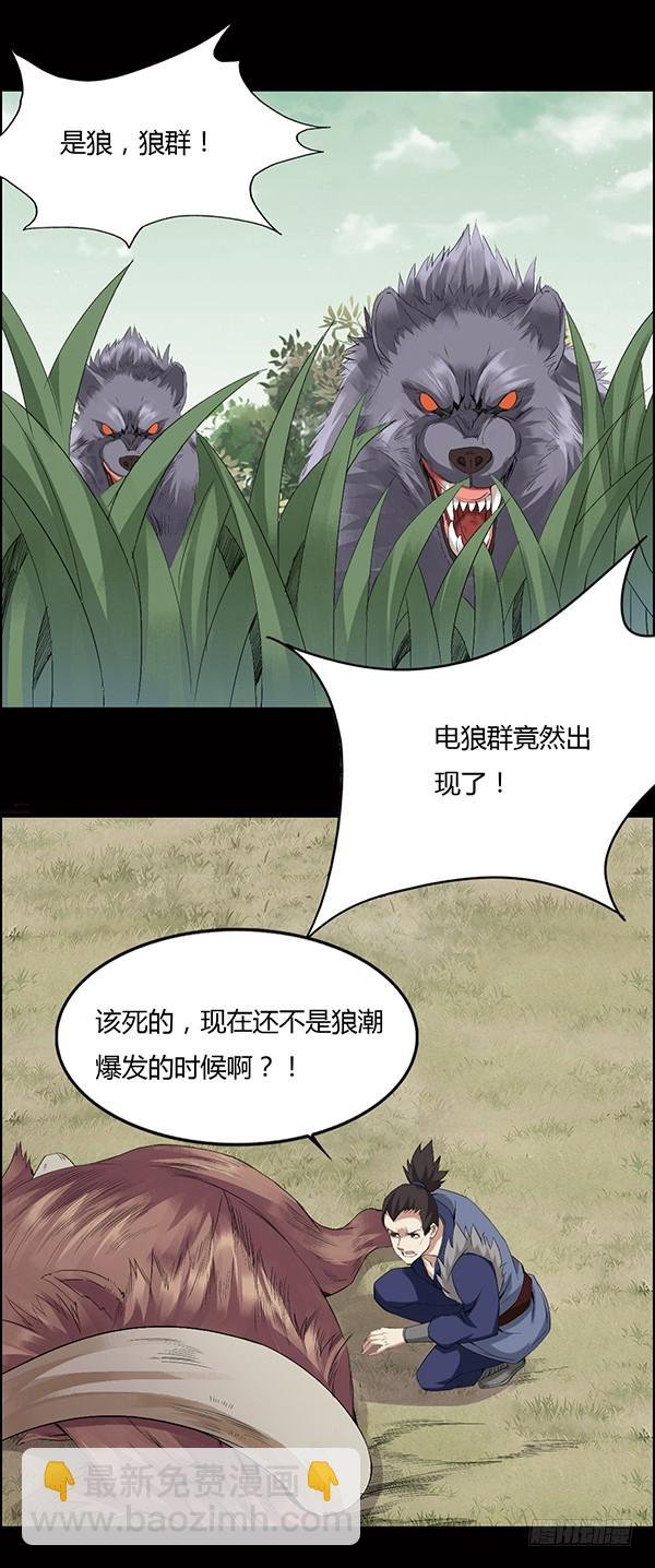 猪的队友