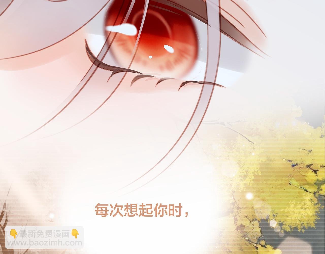 74:相思红豆