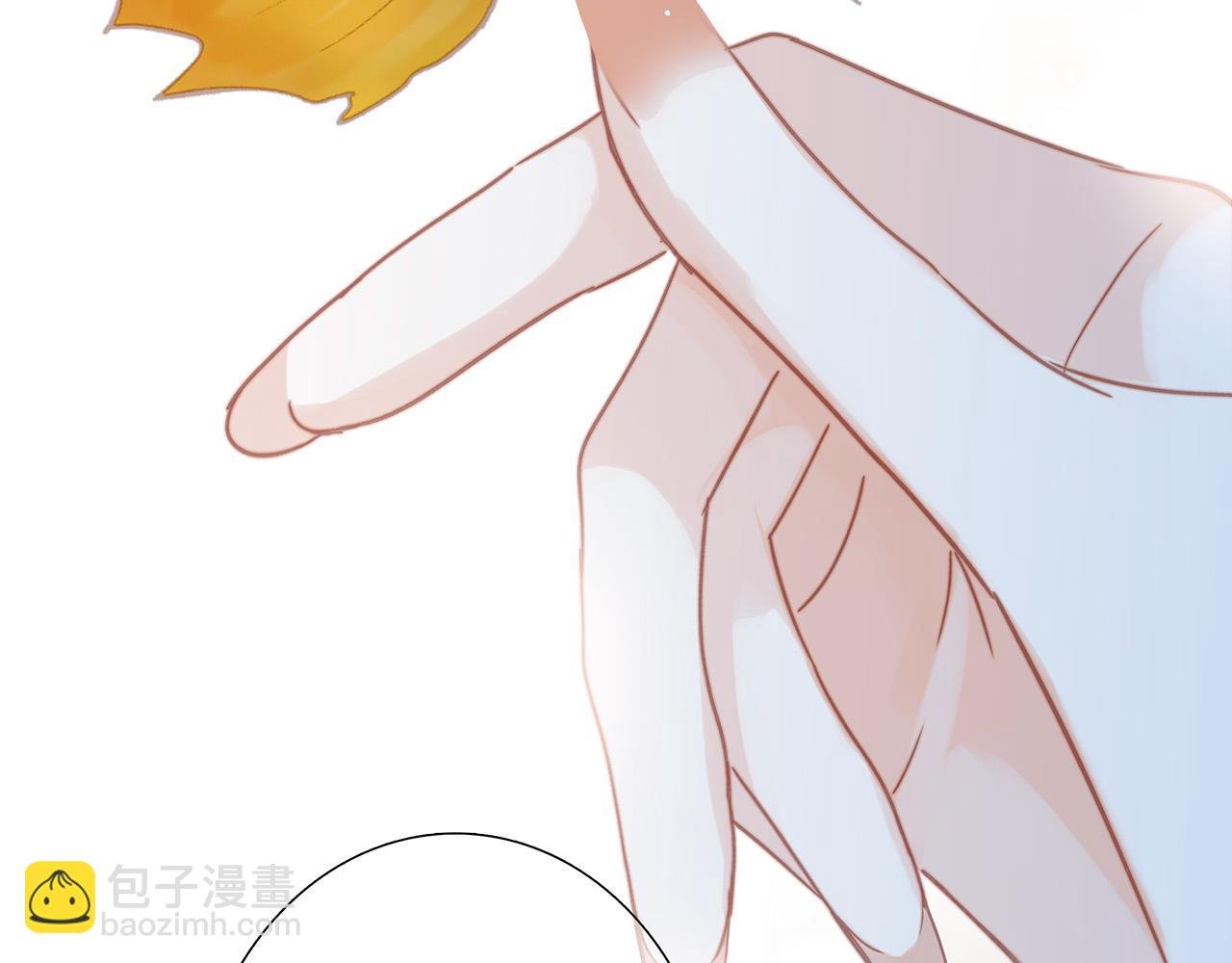 74:相思红豆