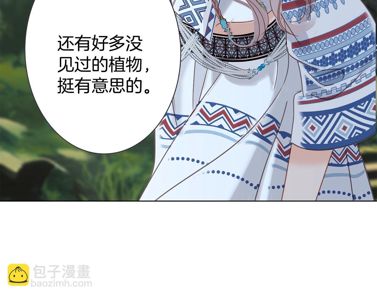 74:相思红豆