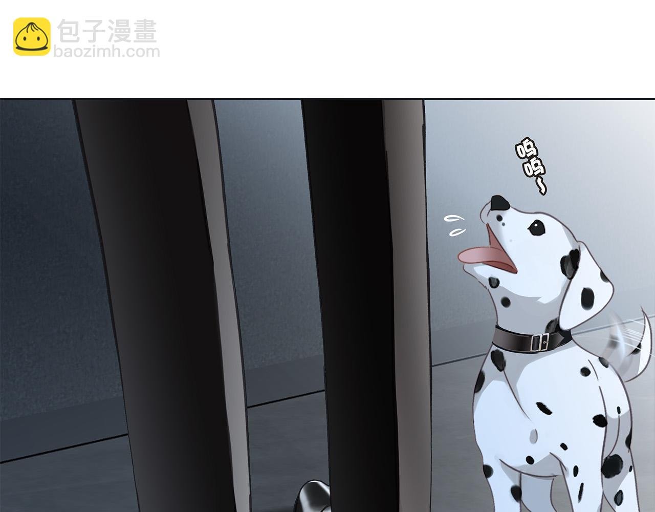 80：顾总的心意