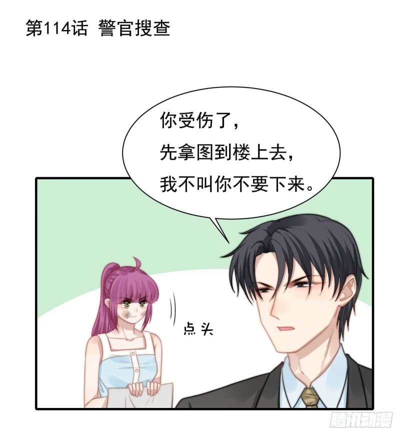 114 最会享受的猫