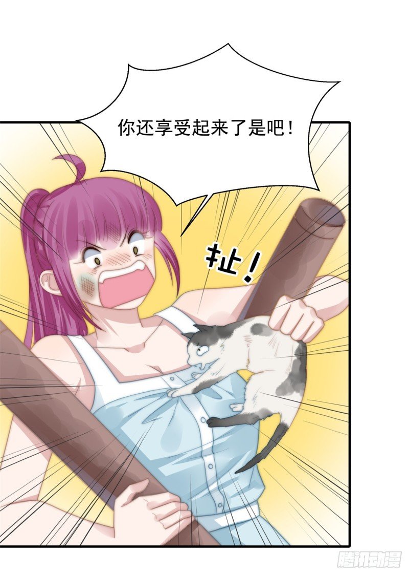 114 最会享受的猫