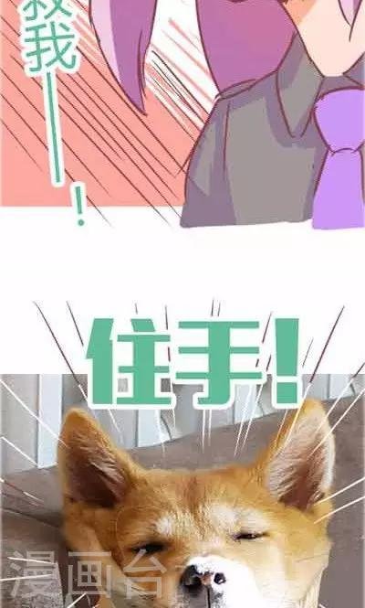 番外2 造粪机中队