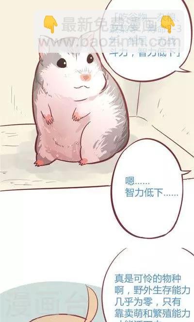 第8话1 仓鼠篇