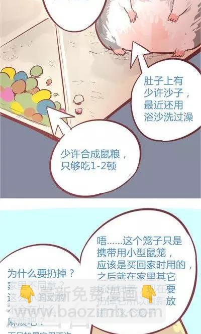 第8话1 仓鼠篇