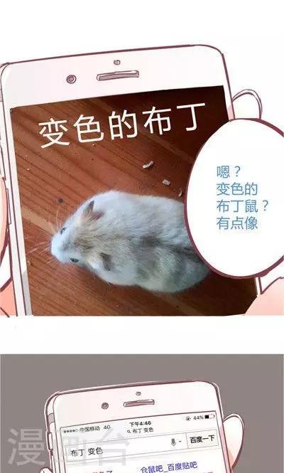 第8话1 仓鼠篇