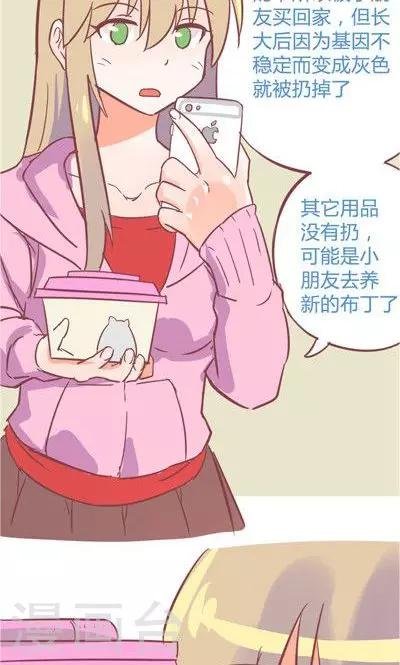 第8话1 仓鼠篇