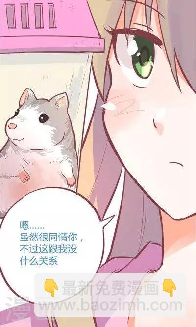 第8话1 仓鼠篇