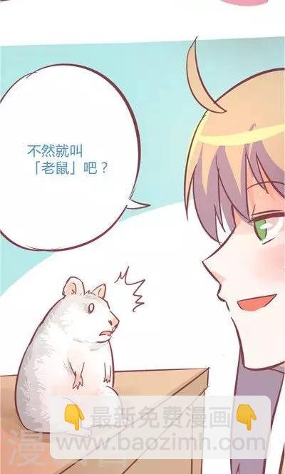 第8话2 仓鼠篇