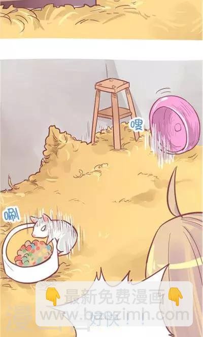 第8话3 仓鼠篇