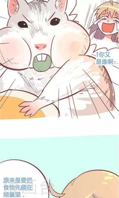 第8话3 仓鼠篇