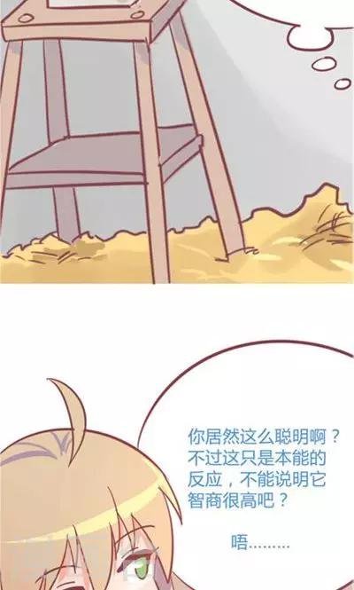 第8话3 仓鼠篇