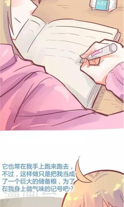 第8话4 仓鼠篇