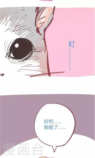 第8话5 仓鼠篇