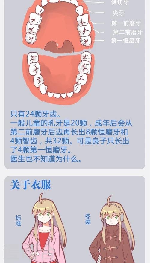 番外9 档案特辑