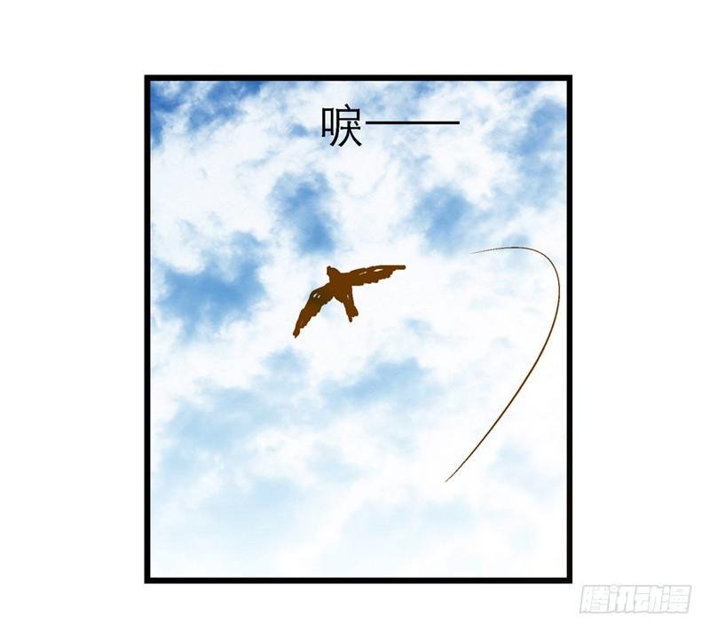 第六十二话 野生动物园