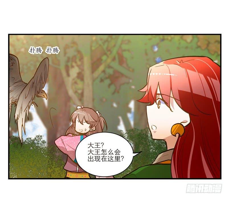 第六十二话 野生动物园