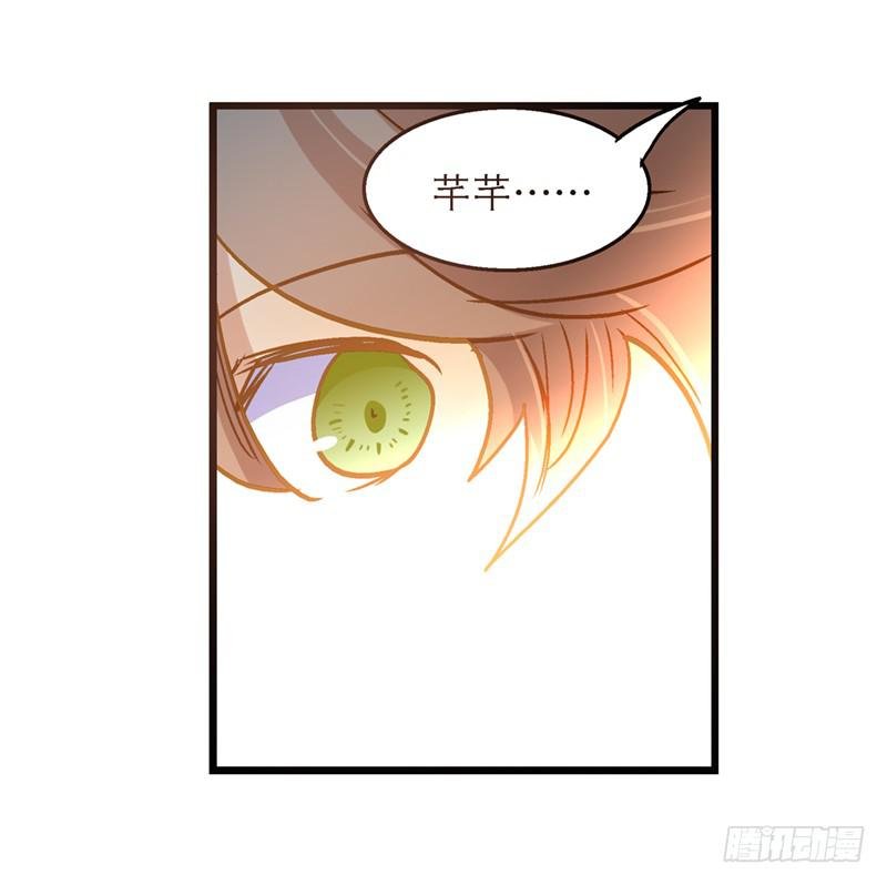 第七十四话 一个小包子