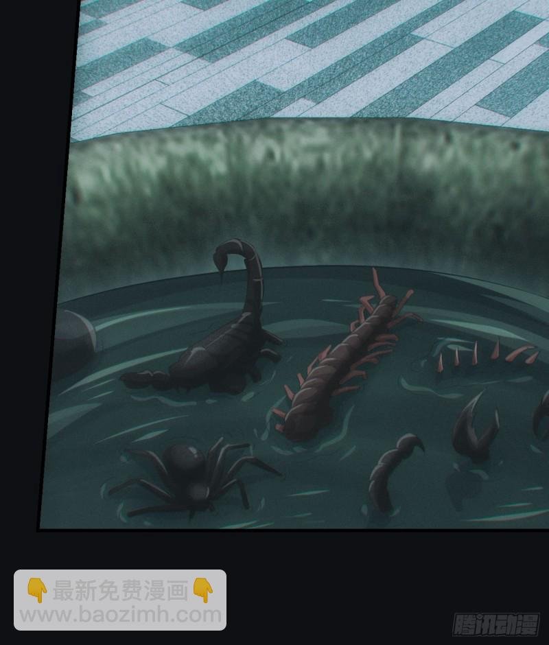 蛊师