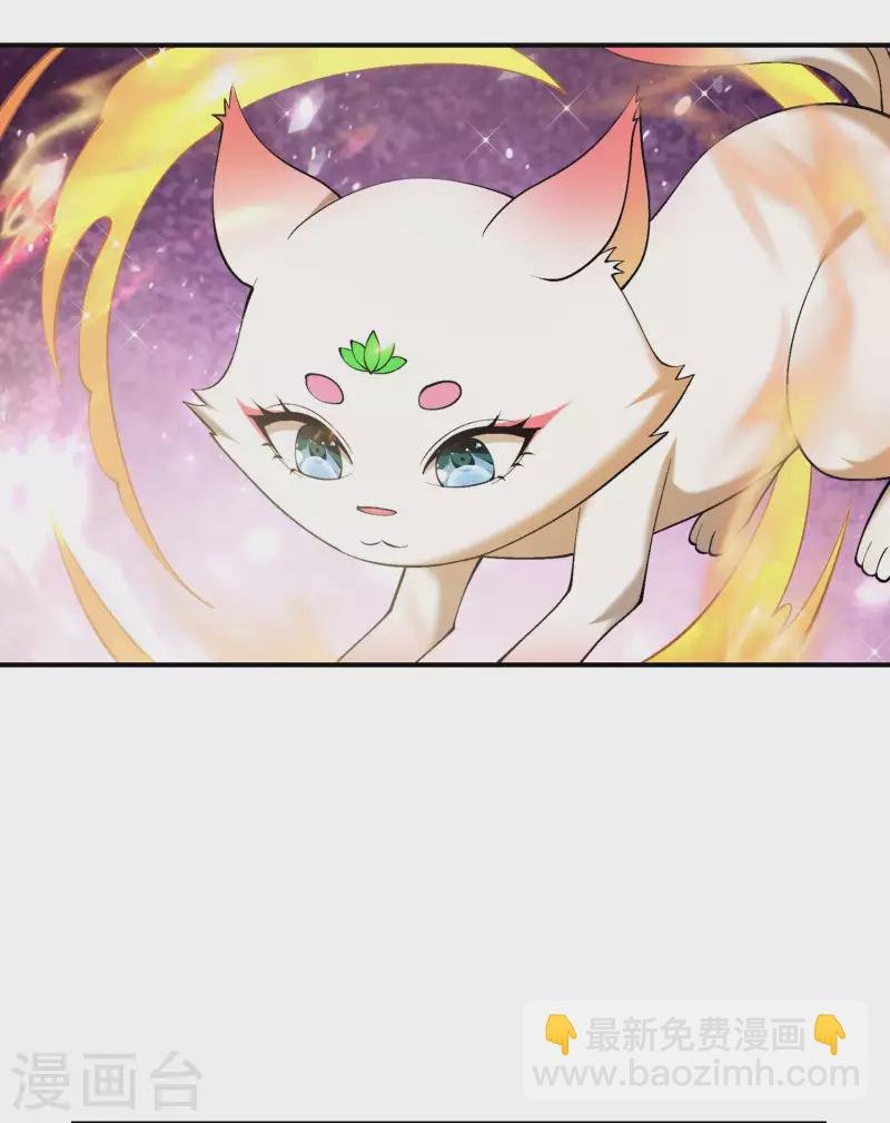 第166话 小白的实力