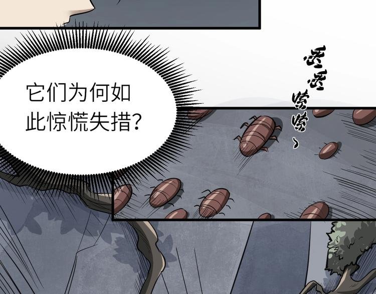 第67话 秘境夺宝