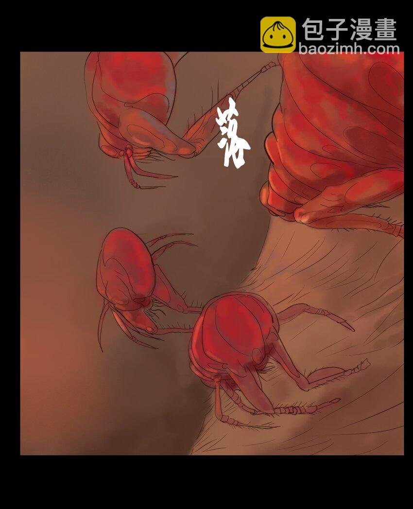 123 跳蚤