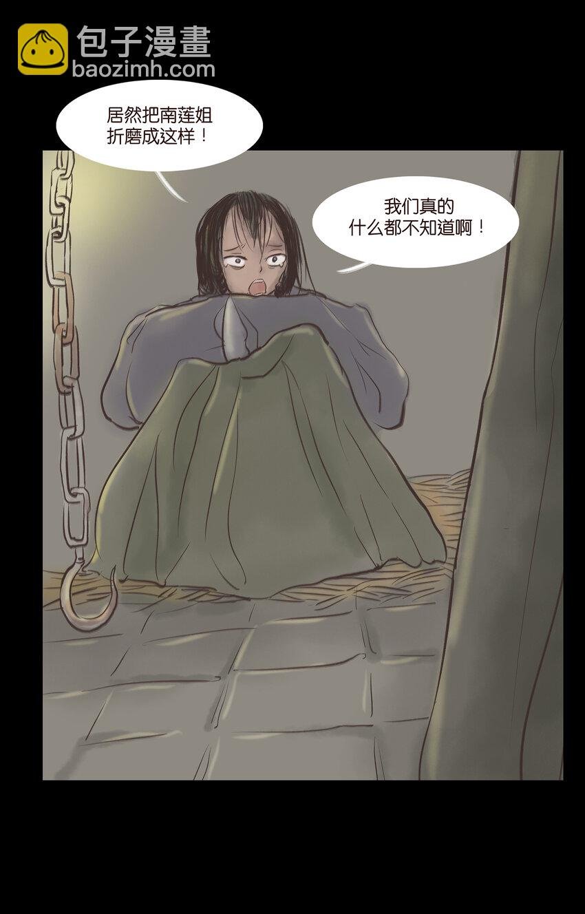 005 狸猫