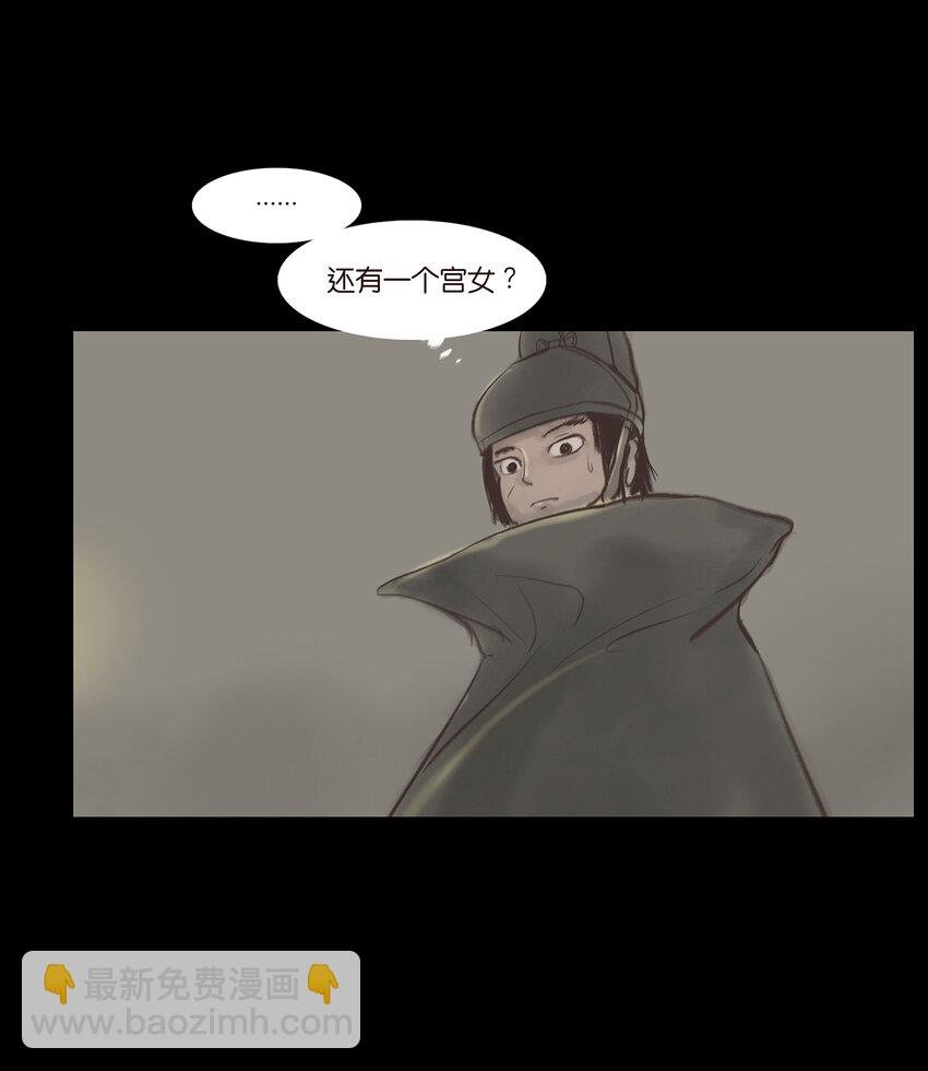 005 狸猫