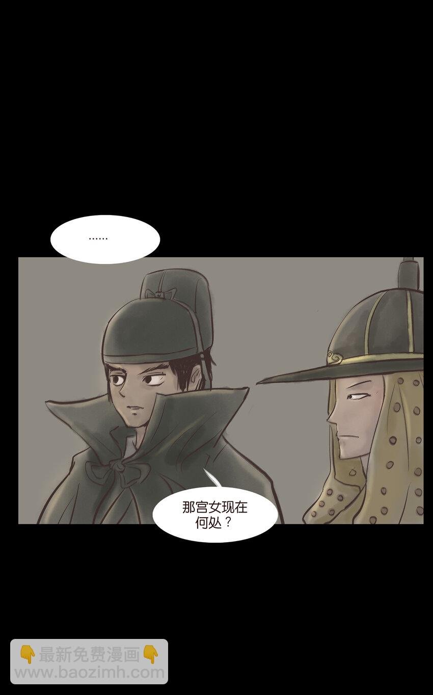 005 狸猫